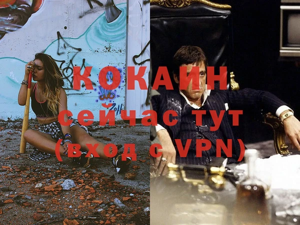 прущие грибы Баксан