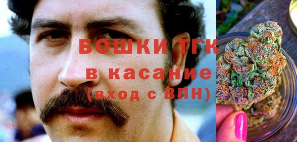 прущие грибы Баксан
