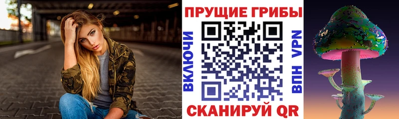 как найти закладки  kraken рабочий сайт  Галлюциногенные грибы MAGIC MUSHROOMS  Сегежа 