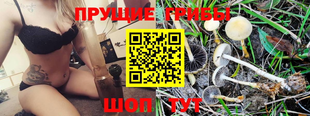 Сегежа  Конопля  Альфа ПВП СК   Cocaine  Метадон  Меф МЯУ МЯУ   Вход с VPN  Гашиш 