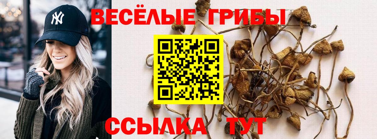 Сегежа  Псилоцибиновые грибы ЛСД  Вход с VPN 