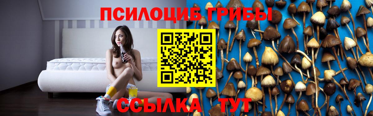 Псилоцибиновые грибы Magic Shrooms Сегежа
